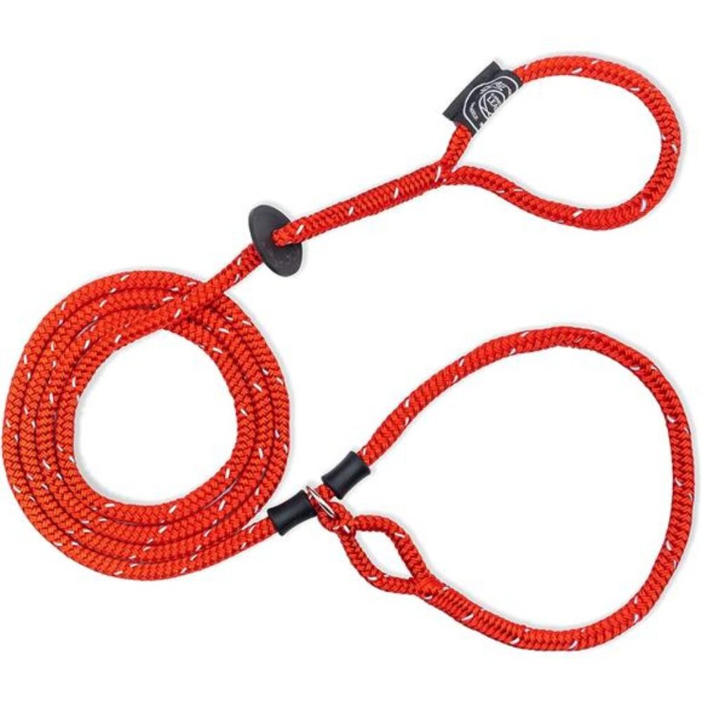 Harness Lead No Pull Dog Harness & Leash Set,AntiPull Dog Harness for All Breeds